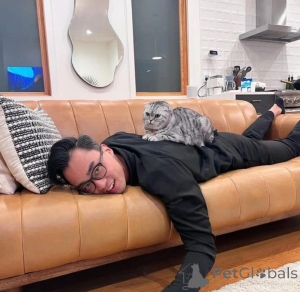 Foto №1.  - zum Verkauf in der Stadt Augustusburg | verhandelt | Ankündigung № 165469