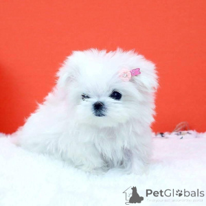 Foto №1.  - zum Verkauf in der Stadt Baumholder | verhandelt | Ankündigung № 162183