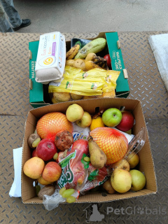 Foto №2. Heimtierbedarf (Nahrung) in Russische Föderation. Price - 0€. Ankündigung № 133800 