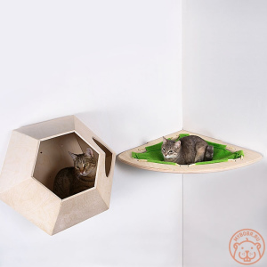 Foto №4. Mauerkomplex 