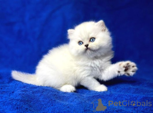 Foto №1.  - zum Verkauf in der Stadt Finnholmen | verhandelt | Ankündigung № 161984