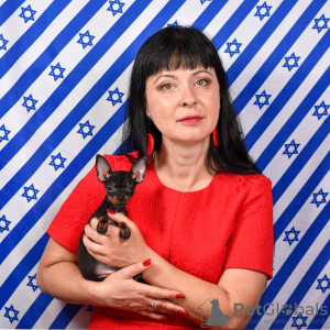 Foto №3. Russisches Spielzeug. Israel