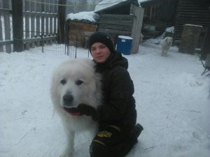 Foto №4. Ich werde verkaufen chien de montagne des pyrénées in der Stadt Krasnojarsk. quotient 	ankündigung - preis - Verhandelt