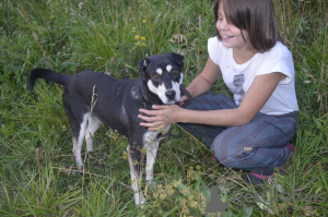 Foto №1. mischlingshund - zum Verkauf in der Stadt Краснокамск | Frei | Ankündigung № 8317