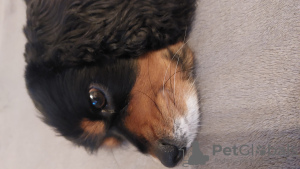 Foto №3. Ljudmila Bulyzhkina. Deutschland