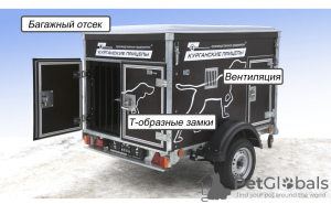 Foto №2. Dienstleistungen für die Lieferung und den Transport von Katzen und Hunden in Weißrussland. Price - 9€. Ankündigung № 32961