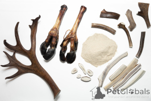 Foto №2. Heimtierbedarf (Nahrung) in Russische Föderation. Price - Frei. Ankündigung № 139158 