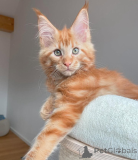 Foto №3. Verfügbar. USA