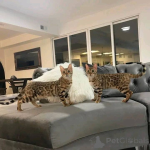 Foto №1.  - zum Verkauf in der Stadt Espoo | 1000€ | Ankündigung № 161554