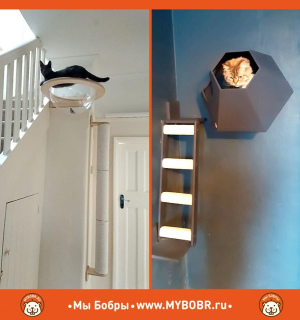 Foto №2. Möbel für Hunde und Katzen in Russische Föderation. Price - 27€. Ankündigung № 5282 