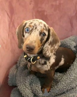 Foto №4. Ich werde verkaufen  in der Stadt Madrid.  - preis - verhandelt