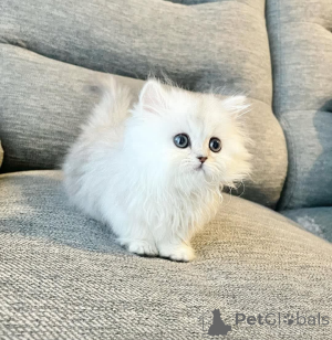 Foto №1.  - zum Verkauf in der Stadt Paris | Frei | Ankündigung № 161998