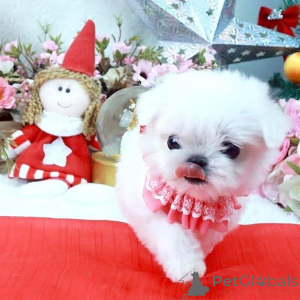 Foto №4. Ich werde verkaufen  in der Stadt Baumholder.  - preis - verhandelt