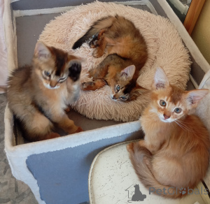 Foto №1.  - zum Verkauf in der Stadt Riga | 900€ | Ankündigung № 141243