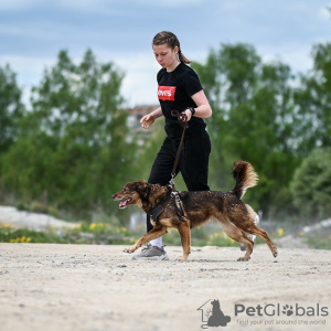 Zusätzliche Fotos: Die kleine, super positive Shanti sucht ein Zuhause!