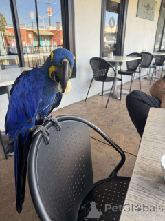 Foto №1.  - zum Verkauf in der Stadt Hamburg | Frei | Ankündigung № 162292