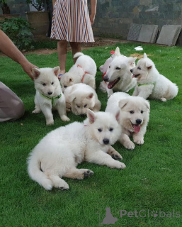 Foto №1.  - zum Verkauf in der Stadt München-Flughafen | verhandelt | Ankündigung № 158041