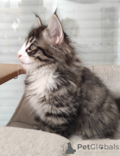 Foto №1.  - zum Verkauf in der Stadt Helsinki-Uusimaa | Frei | Ankündigung № 165774