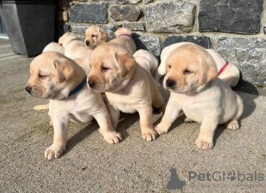 Foto №1.  - zum Verkauf in der Stadt Sydney | verhandelt | Ankündigung № 131243