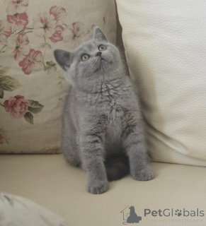 Foto №3. Roxana Mihalcea. Rumänien