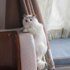 Foto №2 zu Ankündigung № 129159 zu verkaufen american bobtail - einkaufen Barbados quotient 	ankündigung