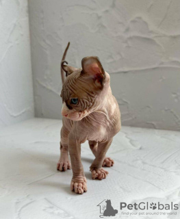 Foto №3. Angela R. Whiteside. USA