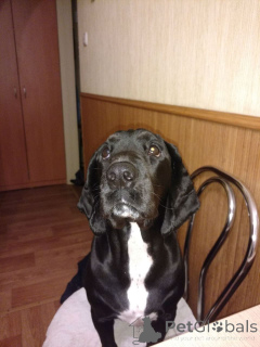 Foto №2 zu Ankündigung № 152369 zu verkaufen  - einkaufen Deutschland quotient 	ankündigung