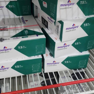 Foto №1. american curl - zum Verkauf in der Stadt Augsburg | Frei | Ankündigung № 156651