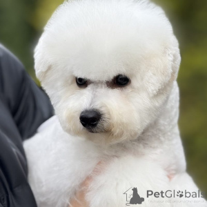 Foto №1.  - zum Verkauf in der Stadt Kaunas | 1500€ | Ankündigung № 159516