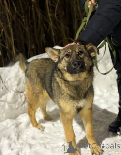 Foto №1.  - zum Verkauf in der Stadt Moskwa | Frei | Ankündigung № 165691