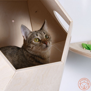 Foto №3. Mauerkomplex 