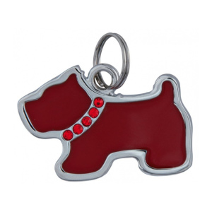 Foto №4. Adressen für Hunde in Moskau in Russische Föderation. Ankündigung № 6536