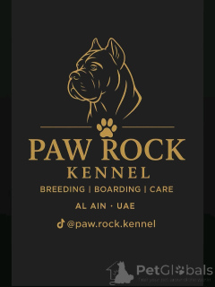 Foto №1. Hotel für Tiere in der Stadt Al Ain. Price - verhandelt. Ankündigung № 145660