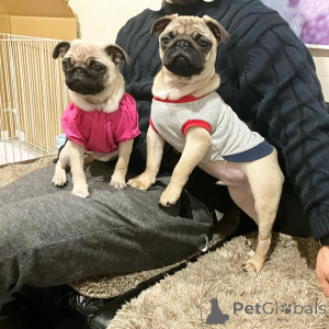 Foto №1.  - zum Verkauf in der Stadt Berlin | 650€ | Ankündigung № 140568