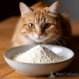 Foto №3. Nordhirschhörner. Russische Föderation