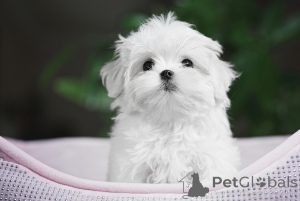 Foto №3. Natalia Martsinyak. Ukraine