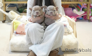 Foto №1.  - zum Verkauf in der Stadt Bremen | 7800€ | Ankündigung № 144359