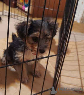 Foto №1.  - zum Verkauf in der Stadt Denver | 738€ | Ankündigung № 133638