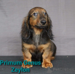 Foto №2 zu Ankündigung № 9020 zu verkaufen  - einkaufen Russische Föderation vom kindergarten