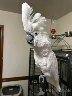 Foto №1.  - zum Verkauf in der Stadt Aschaffenburg | verhandelt | Ankündigung № 167040