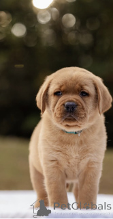 Foto №1.  - zum Verkauf in der Stadt Manchester | verhandelt | Ankündigung № 160258