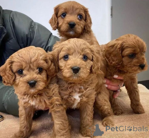 Foto №1.  - zum Verkauf in der Stadt Espartinas | verhandelt | Ankündigung № 160318