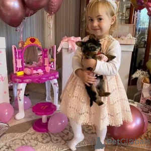 Foto №1.  - zum Verkauf in der Stadt Гамбург | 425€ | Ankündigung № 133301