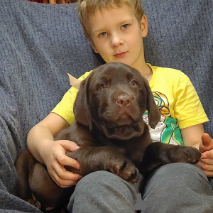 Zusätzliche Fotos: Labrador Welpen von vertrauenswürdigen Eltern