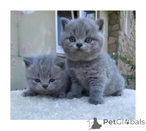 Foto №1.  - zum Verkauf in der Stadt New York | verhandelt | Ankündigung № 140077