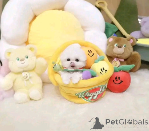 Foto №4. Ich werde verkaufen  in der Stadt Calgary.  - preis - verhandelt