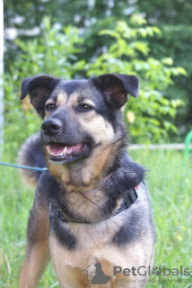 Zusätzliche Fotos: War zu Hause ... Berta träumt von einer Familie ...