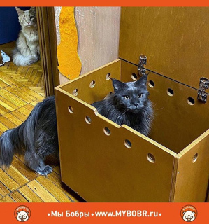 Foto №3. Coto-Toilette von in Russische Föderation