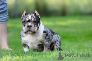 Foto №1.  - zum Verkauf in der Stadt Leipzig | 999€ | Ankündigung № 147452