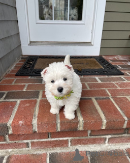 Foto №1.  - zum Verkauf in der Stadt Augsburg | 400€ | Ankündigung № 148955